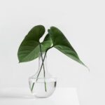 TECNOLIFE - Image 3